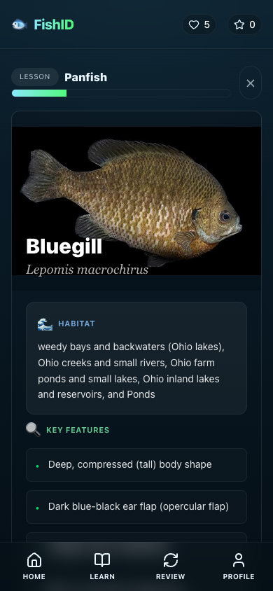 FishID lesson screen