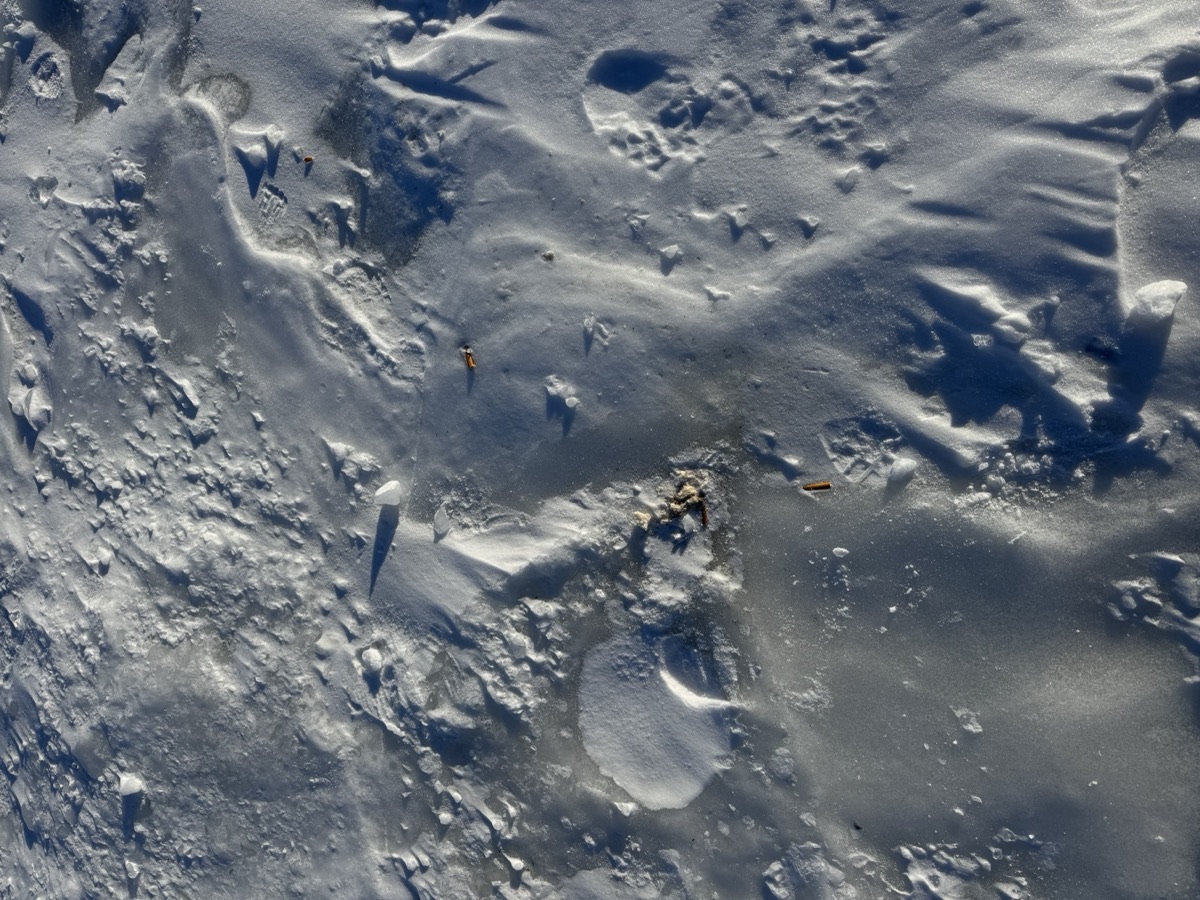 Cigarette butts frozen into the ice surface on Buckeye Lake